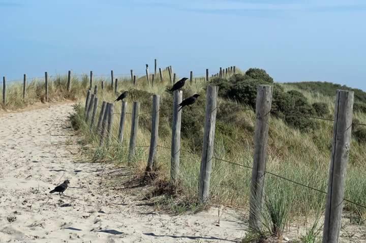 Me Oissie Villa Egmond aan Zee Ngoại thất bức ảnh
